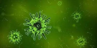 新型冠状病毒|成都贝拉维软装设计