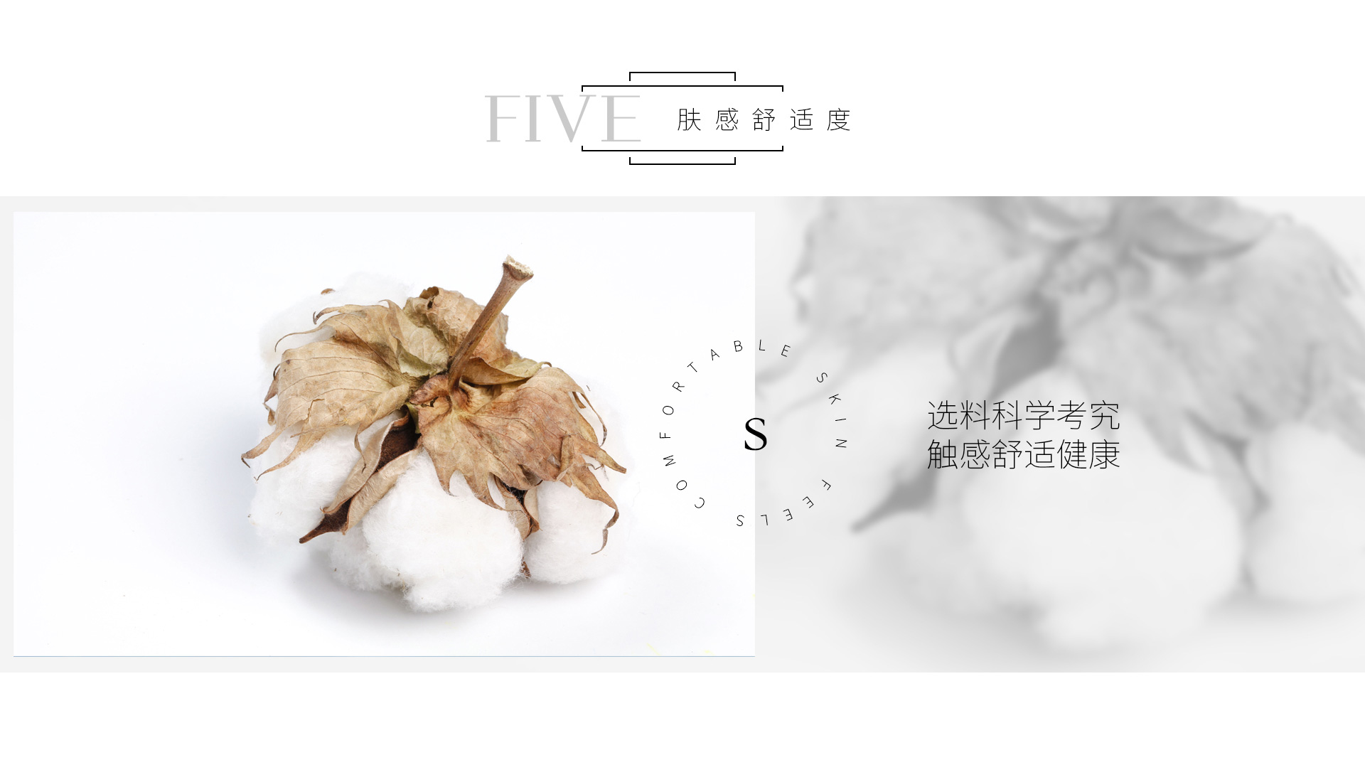 贝拉维软装空间法则